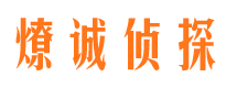 未央市调查公司